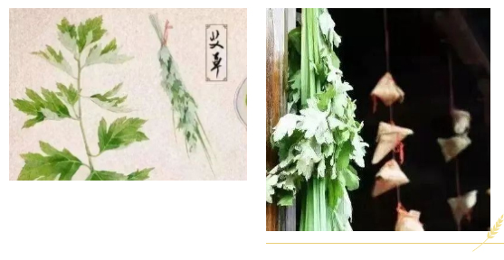 一年一端午-一岁一安康_14.jpg