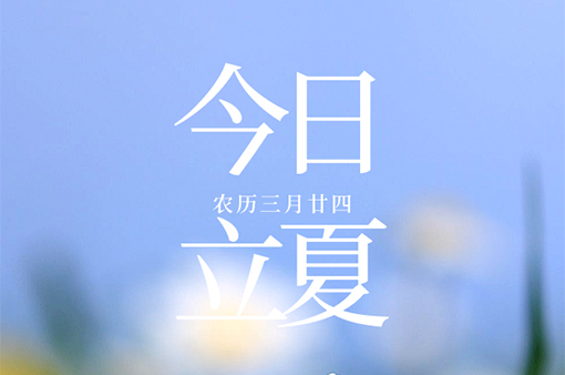 日高蝉鸣春意远，万物初壮始立夏-浙江元金包装有限公司
